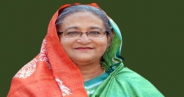 তিন দেশ সফরের পরিকল্পনা প্রধানমন্ত্রীর