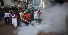 স্থানীয় সরকারের নানা পদক্ষেপ, কমেছে ডেঙ্গু