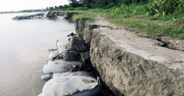 যমুনায় বাড়ছে পানি গিলছে ঘর-বাড়ি