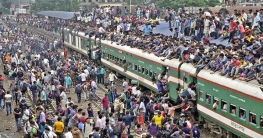 শেকড়ের টানে বাড়ির পানে