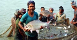 মাছ উৎপাদনে বিশ্বে অষ্টম বাংলাদেশ